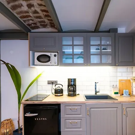 Rum_otto Taksim History&luxury Apartment